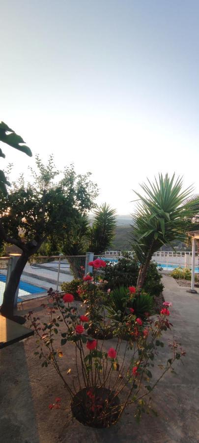 הוילה קסטרו דאירה Casa Do Monte מראה חיצוני תמונה